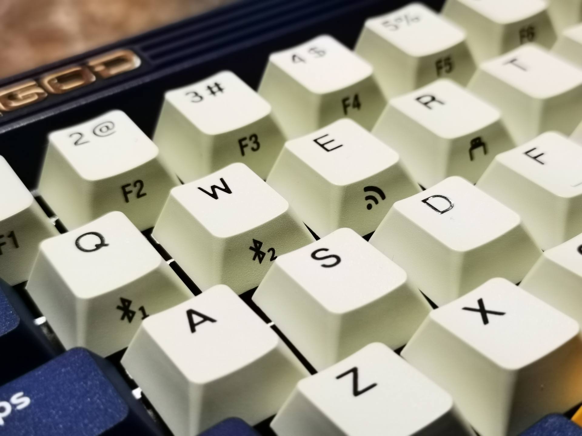 致敬大航海时代，Fusion更有情怀