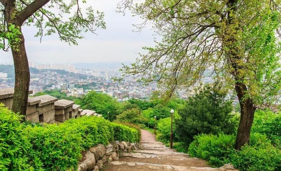 关注真相同时，不妨来了解首尔市长：高大上的