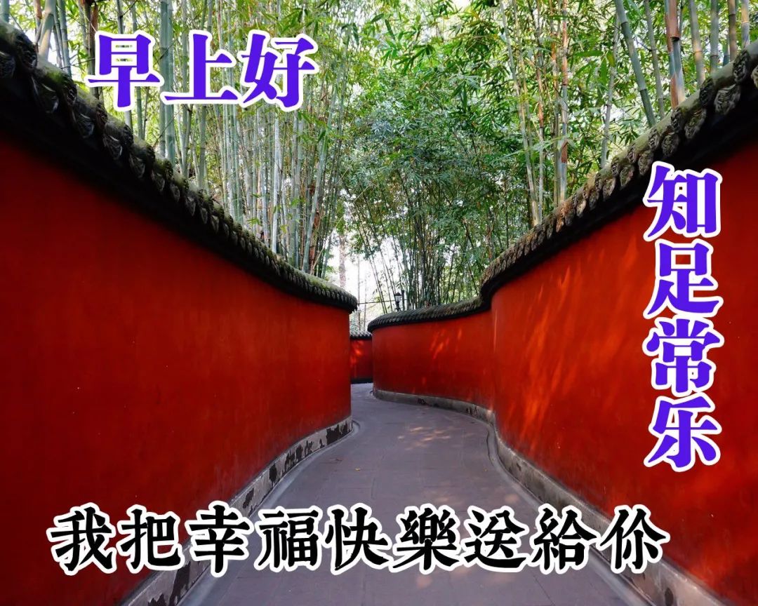 大气又精致的早安说说 唯美早上好图片大全
