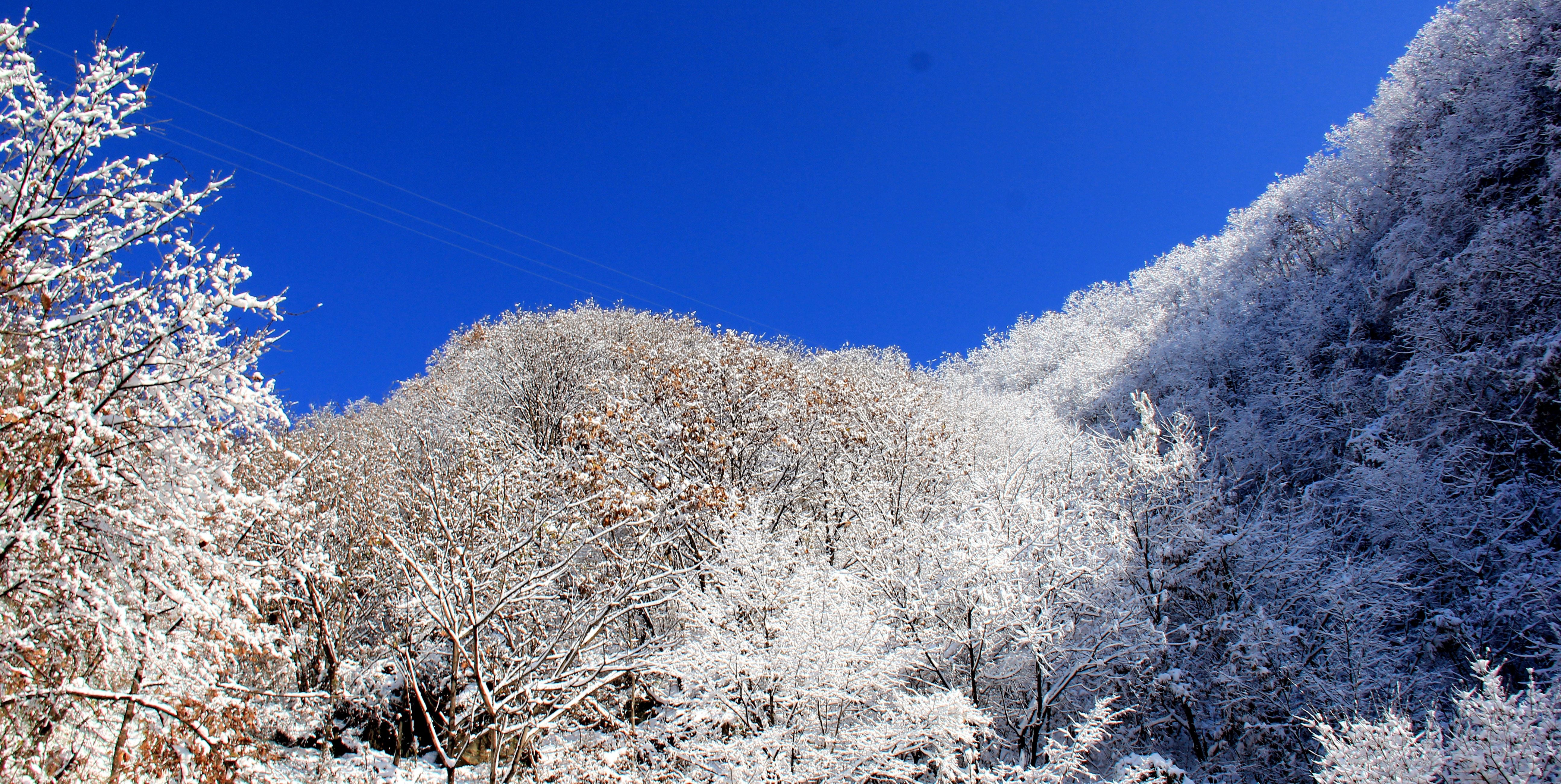 Snowed Bai Yunshan, had you seen? 