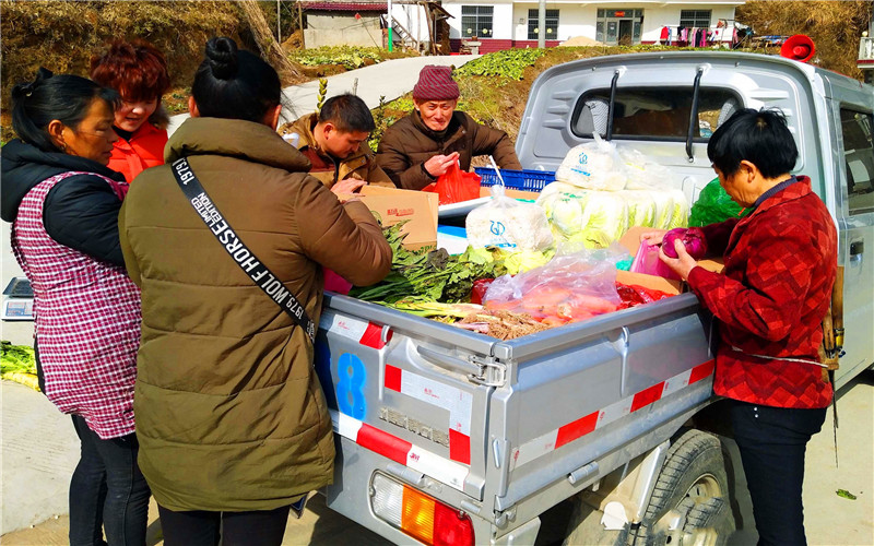 5万元投入，现在做哪些小生意项目，一年可以收