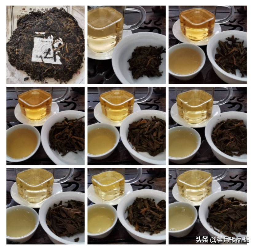 「茗月楼典藏：2016布朗古树生饼」2020.6.17品茶录