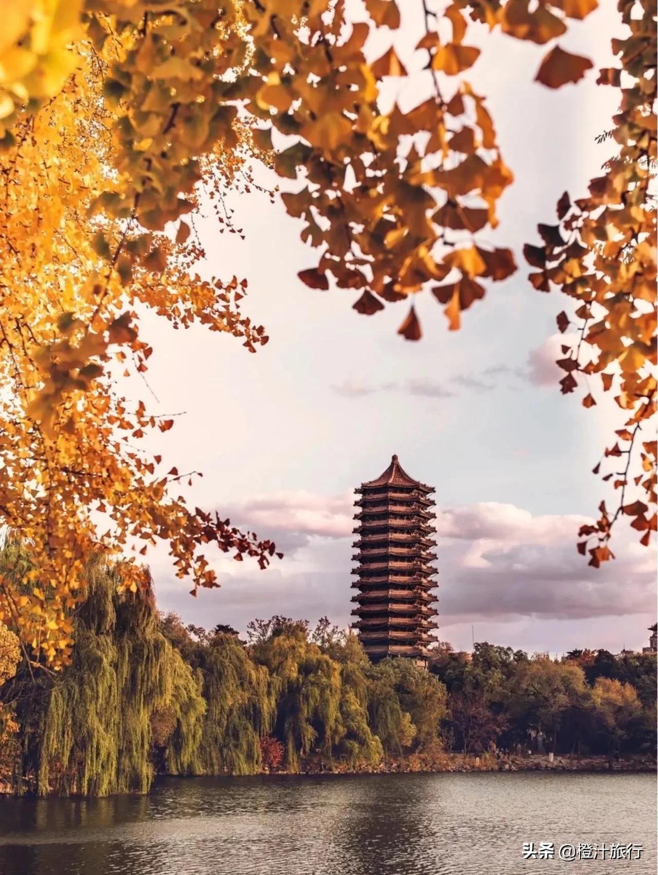 Autmn Beijing Let's go to the old capital Beijing to enjoy the autumn together, and ...