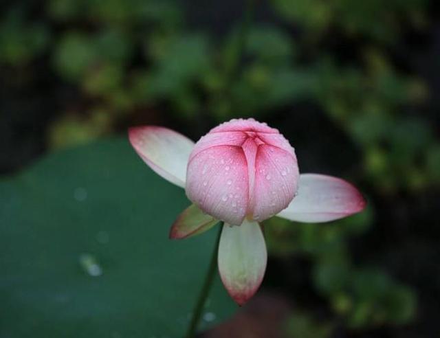 有一種奢侈品，叫“獨處”