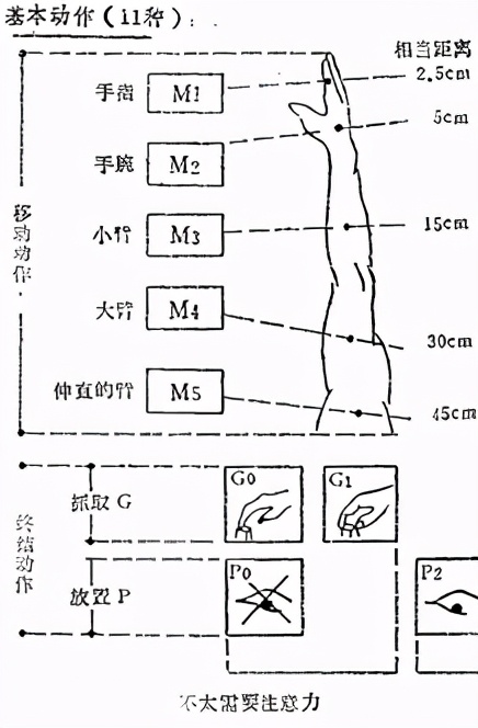 「精益学堂」IE动作分析模特排时法详细介绍