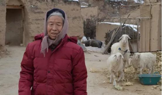 39岁入住养老院的背后，是我们对于晚年生活的深思