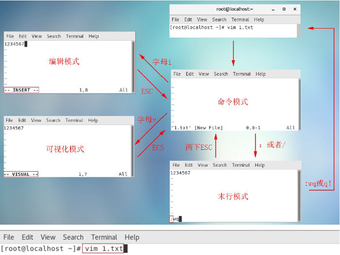 Linux入门，Linux入门教程：Linux文件管理