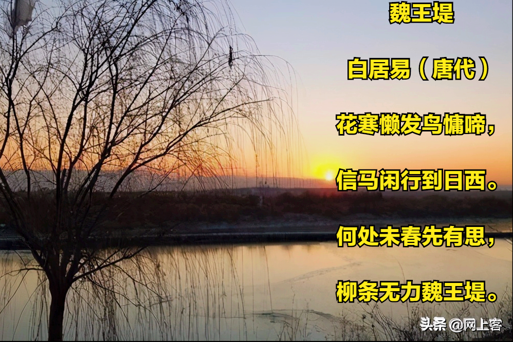 花寒懶發鳥慵啼 信馬閒行到日西 頭條匯