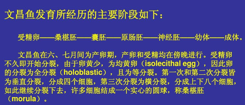 似魚(yú)非魚(yú)，種類(lèi)不多，卻在動(dòng)物界地位特殊