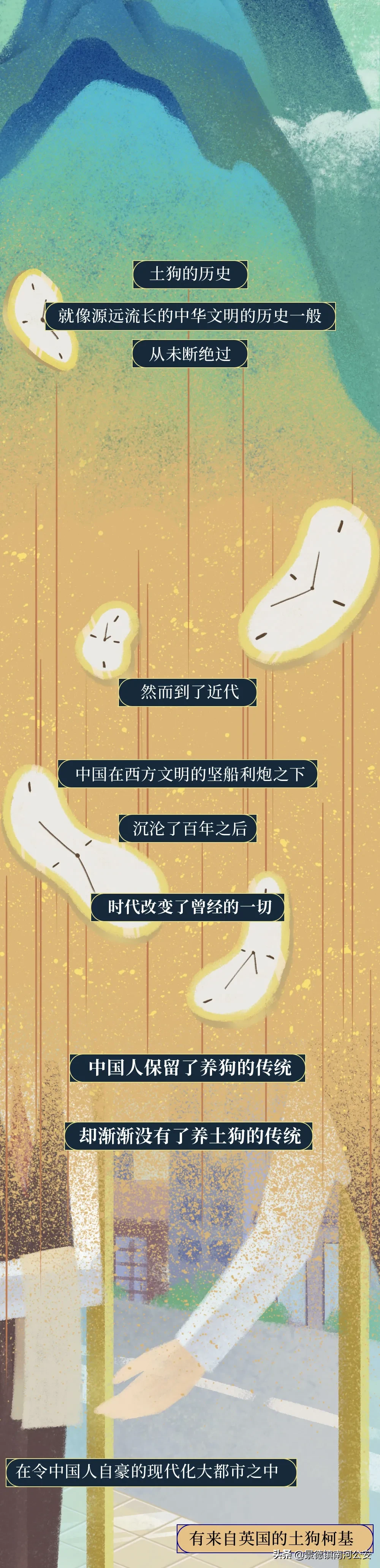 你凭什么看不起中国土狗？