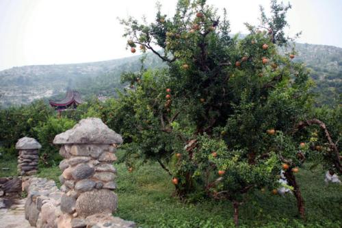 山东枣庄就是历史上大名鼎鼎的——兰陵【峄州