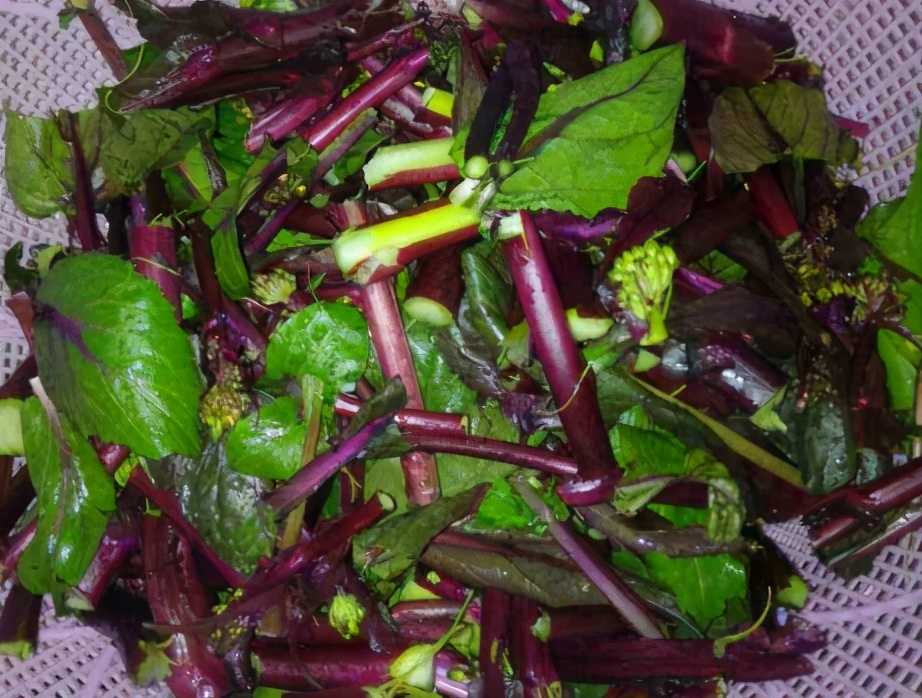 图片[4]-清炒红菜苔的做法步骤图 菜苔吃着香还不发苦-起舞食谱网