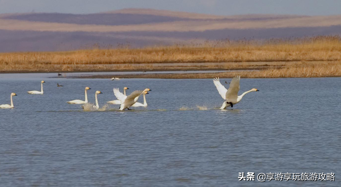 中国的这个城市，随处可见俄罗斯人，到这里旅游，就像出国一样