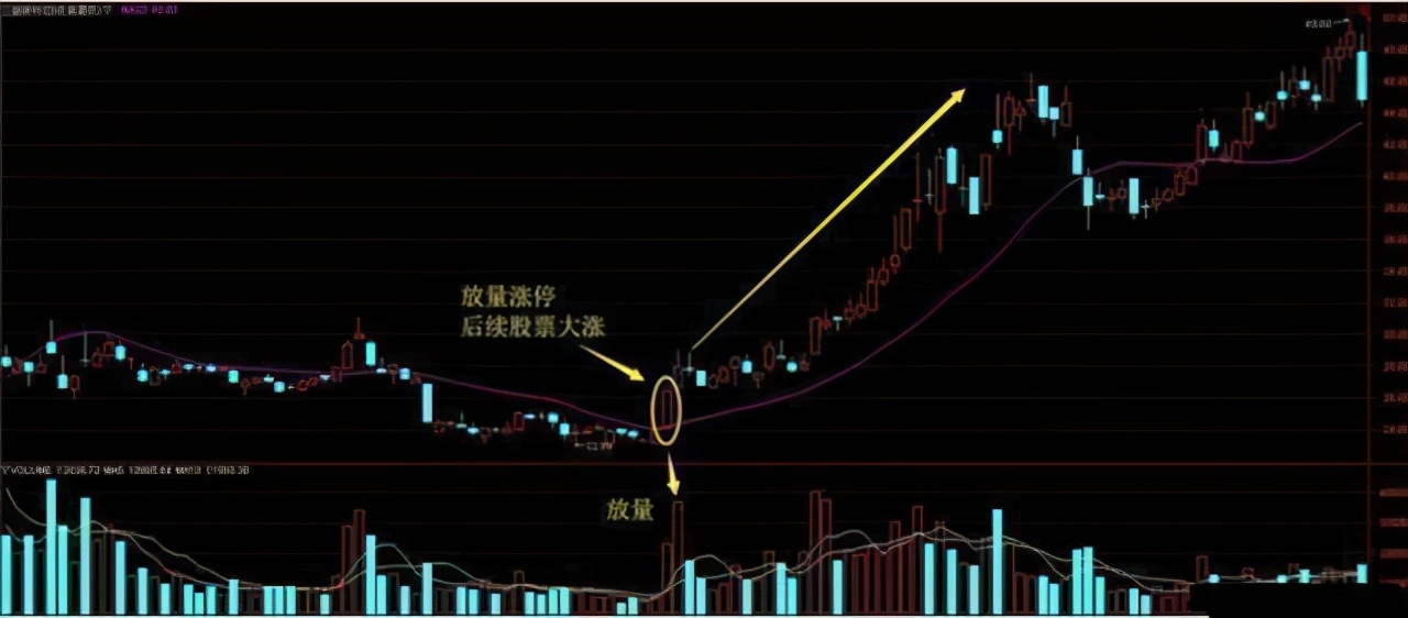 股市真正的强者：如果散户长期拿着股票不撒手，庄家会怎么办