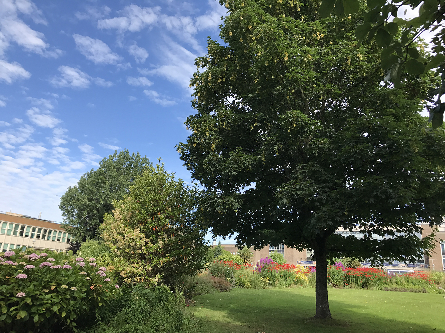 英国留学奖学金盘点，最高学费全免，报销生活费和机票