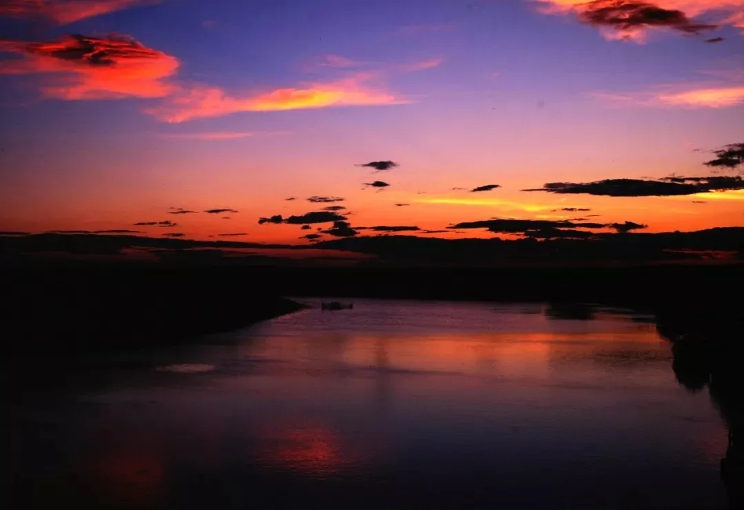 Repelling the scorching summer grassland paradise, Hulunbuir travels the most beautiful route, parent-child vacation praises