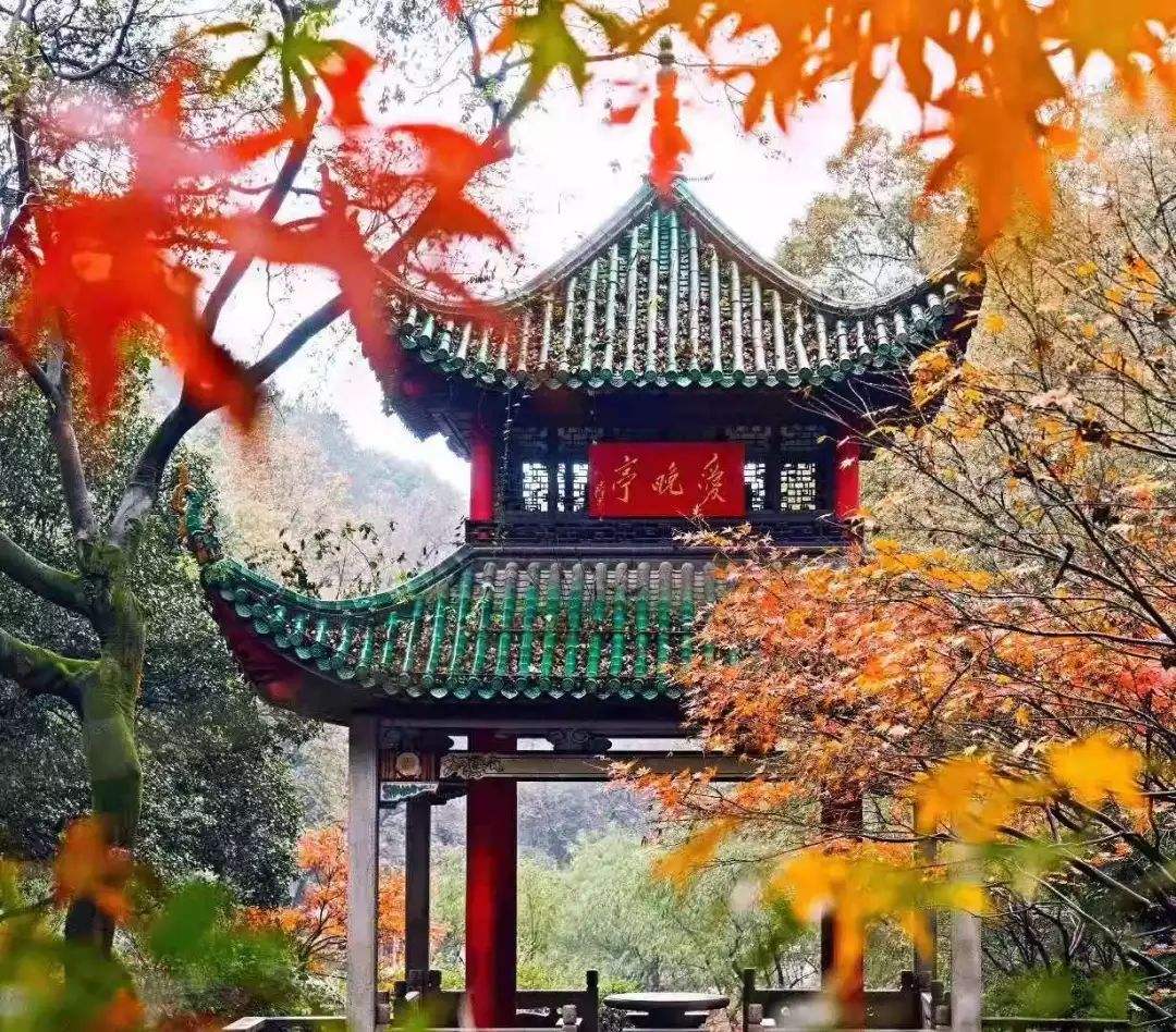 大美中国开启秋日幸福游，这些最适合赏枫叶的地方，你去过几个？