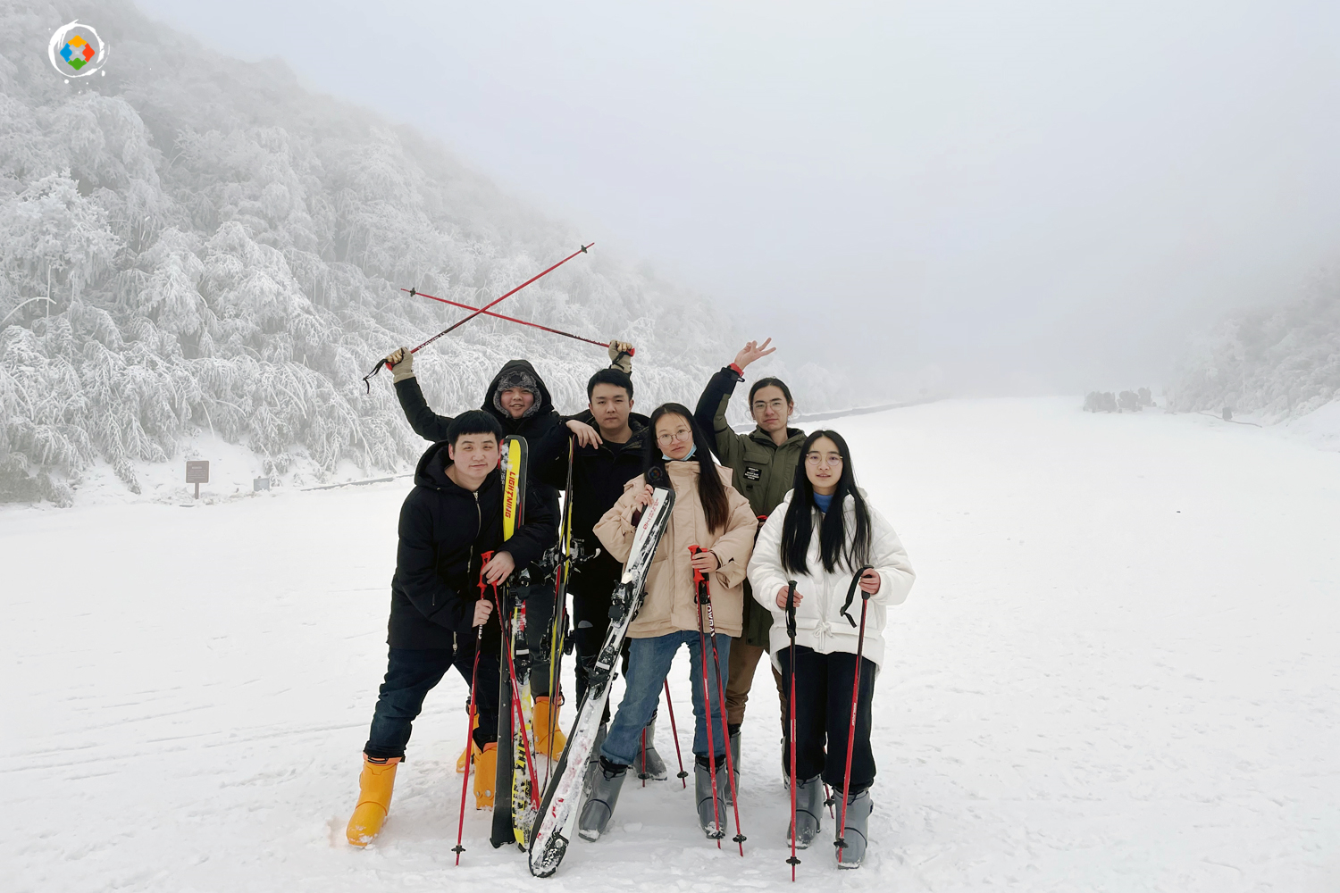 重庆金佛山冬日游：这个国家级5A景区，是不是真的徒有虚名？