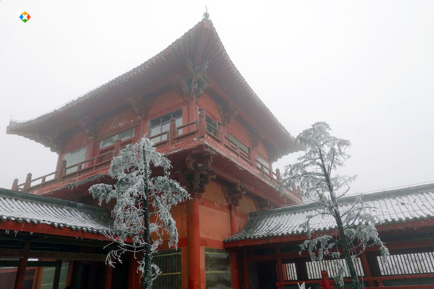 重庆金佛山冬日游：这个国家级5A景区，是不是真的徒有虚名？