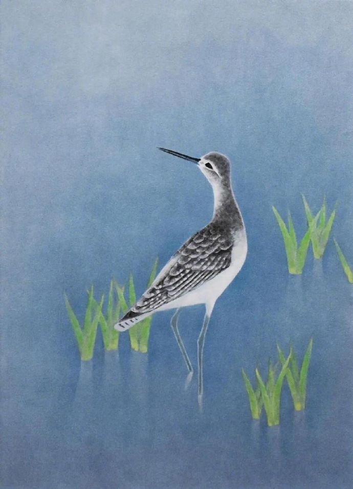 上村淳之 小禽 【公式通販】