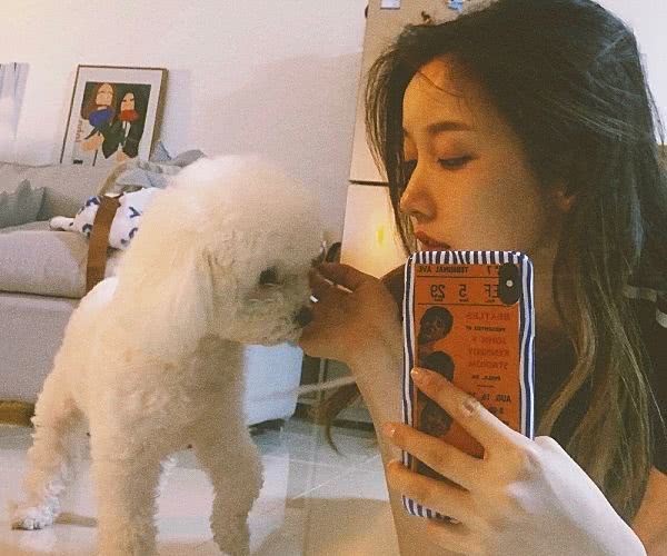 刘梦的公司，张艺凡的公司，看到希林娜依高：