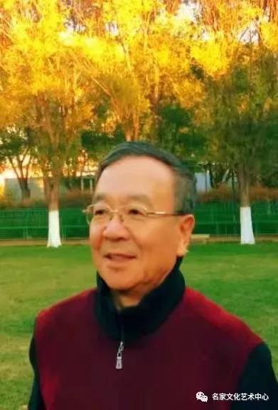 「中国梦•祖国颂」2020年度最具影响力艺术人物——段金祥