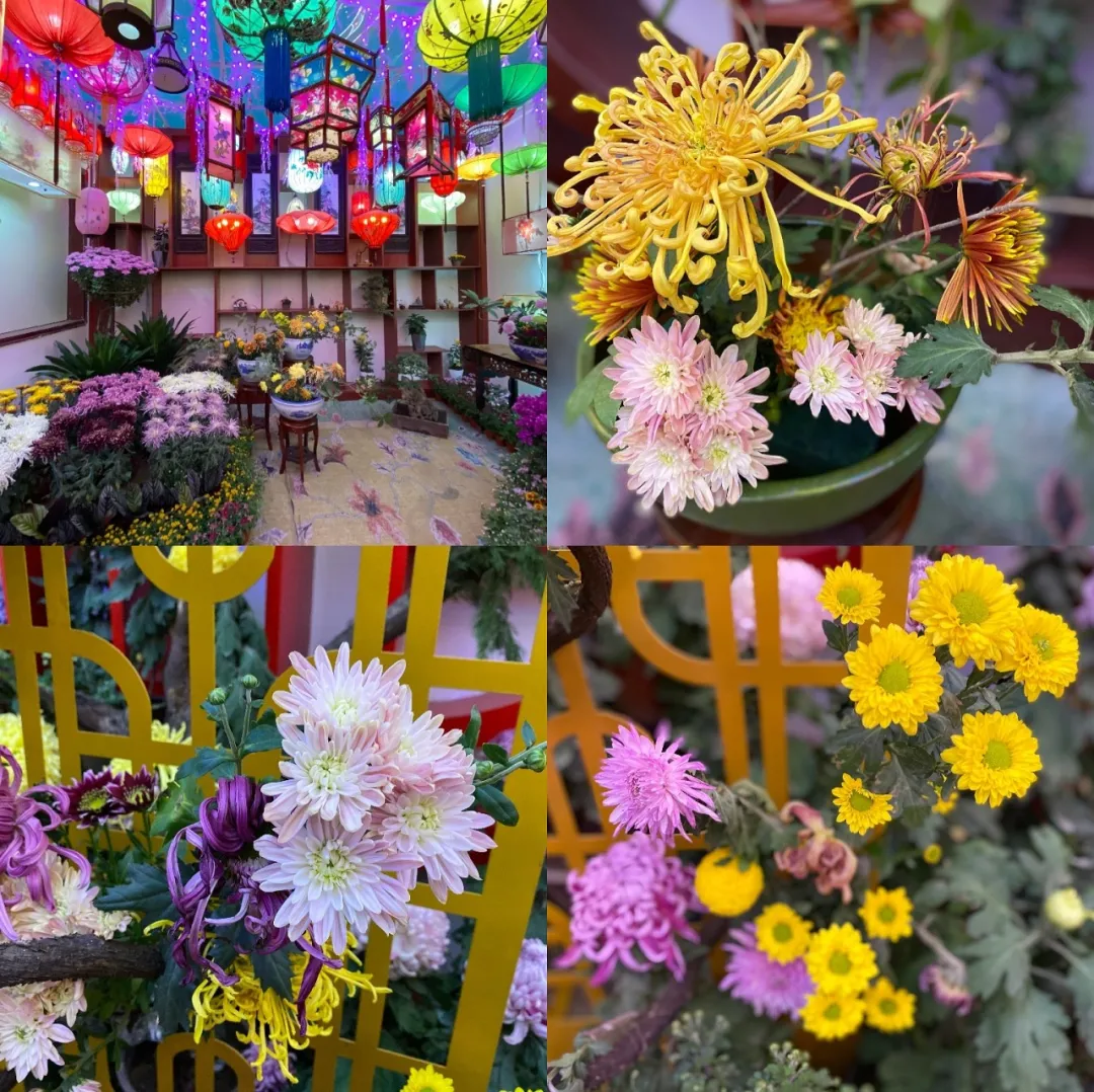 中国开封第38届菊花文化节开幕
