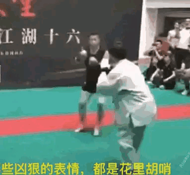宗师、网红、王八拳～“一代宗师”马保国的自白！