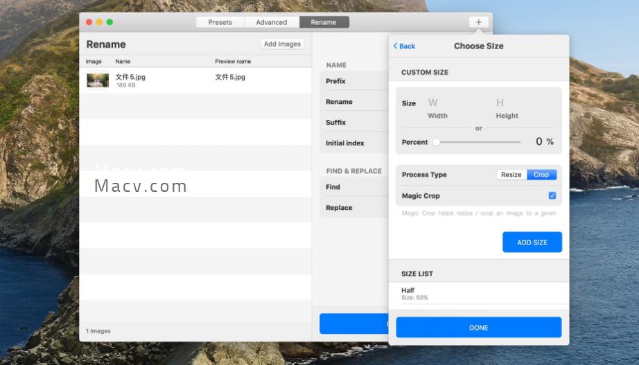 Repix Pro for Mac (image processing software) v2.2 activation version