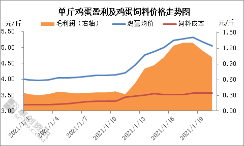 鸡蛋：涨也匆匆 跌也匆匆