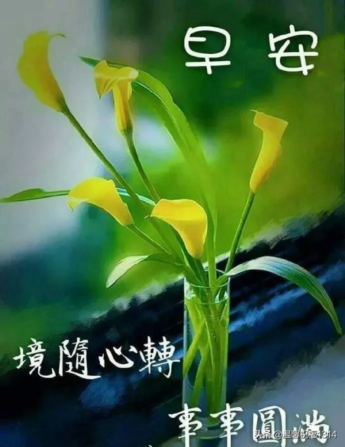 关心的早上好祝福语大全 早上好问候图片和文字图片