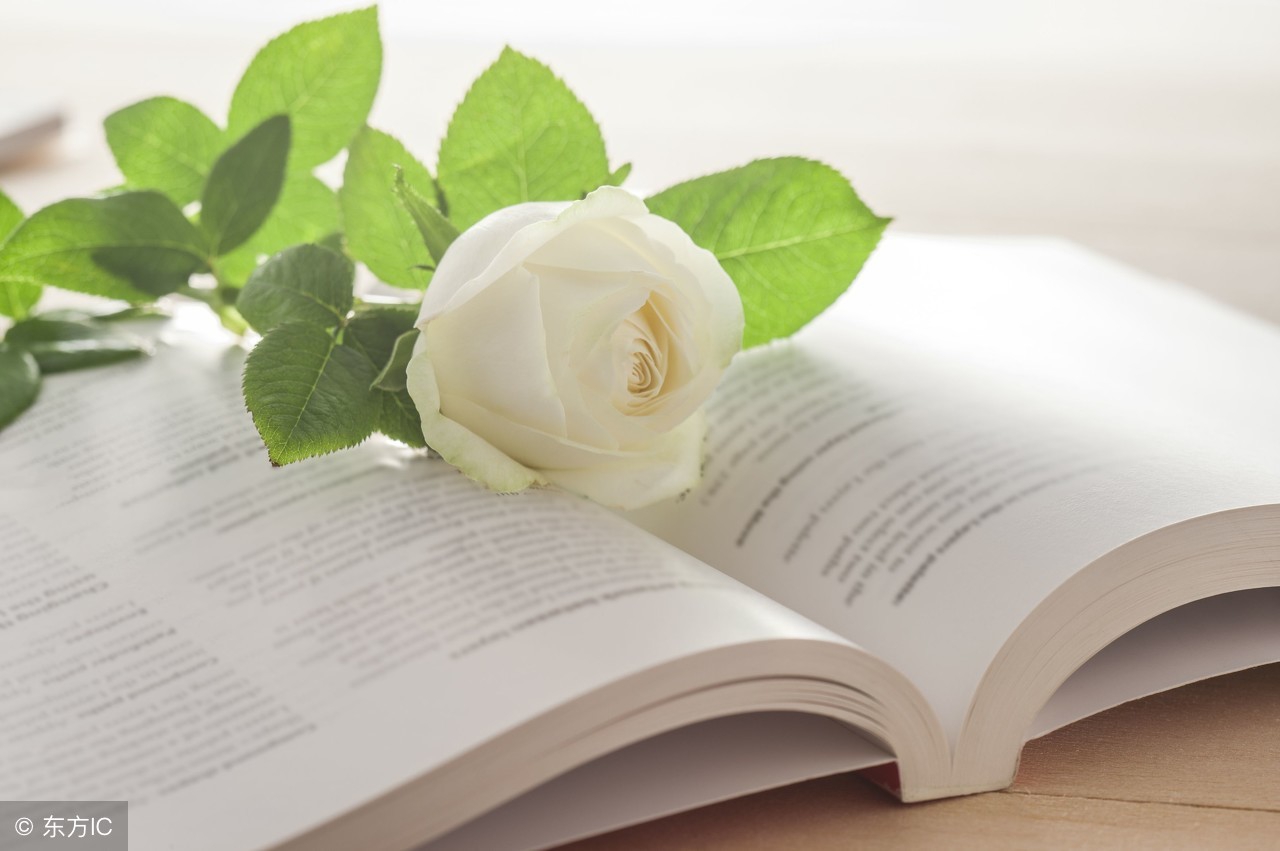 语文备考：中考阅读理解考点汇总（记叙文）