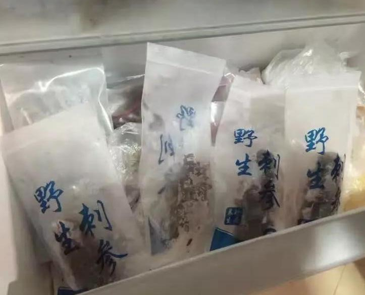 海参最基本的保存方法