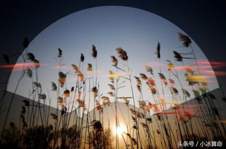 99个天人合一的心理学现象（三）