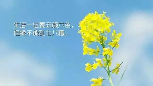 写到心窝里的人生感悟经典句子，句句走心