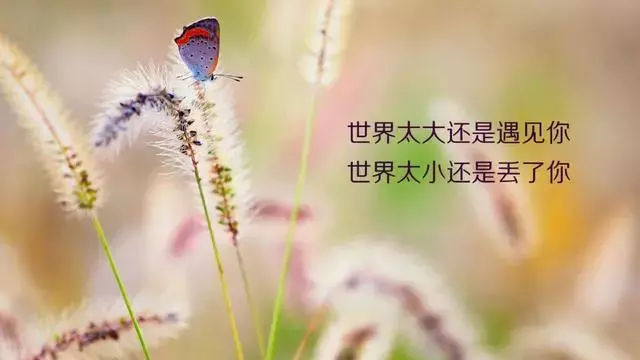 写到心窝里的人生感悟经典句子，句句走心