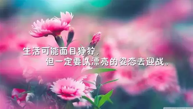 写到心窝里的人生感悟经典句子，句句走心