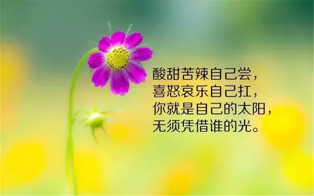 写到心窝里的人生感悟经典句子，句句走心