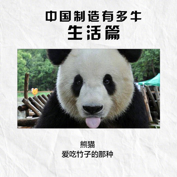 9 seek hegemony the China of the world is made, the last ask you want not to want! 