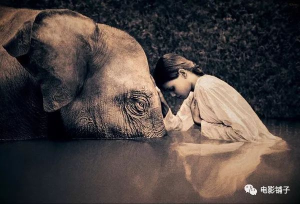 他人间蒸发13年，拍出了这部美到窒息的片