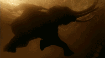 他人间蒸发13年，拍出了这部美到窒息的片