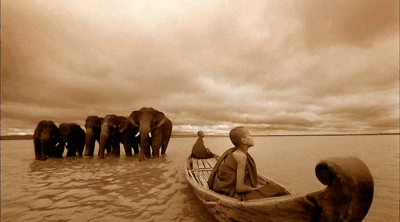 他人间蒸发13年，拍出了这部美到窒息的片