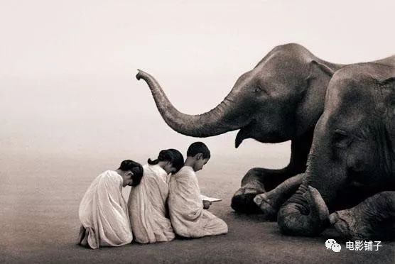 他人间蒸发13年，拍出了这部美到窒息的片