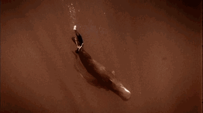 他人间蒸发13年，拍出了这部美到窒息的片