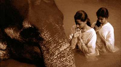 他人间蒸发13年，拍出了这部美到窒息的片