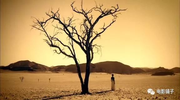 他人间蒸发13年，拍出了这部美到窒息的片