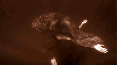 他人间蒸发13年，拍出了这部美到窒息的片