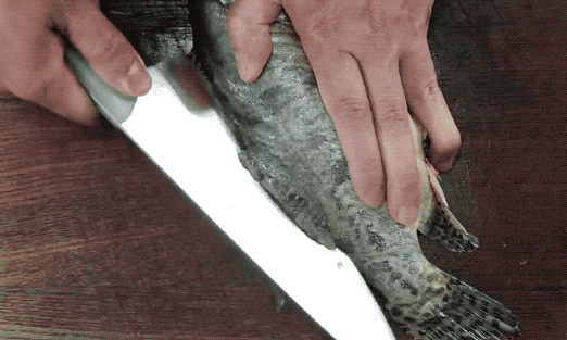 图片[1]-清蒸鱼到底要蒸多久最鲜做了30年粤菜师傅告诉大家一个小秘诀-起舞食谱网