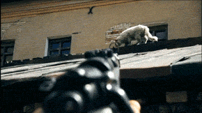 豆瓣评分高达9.6分，少见德国士兵视角讲述二战，日本你学着点！