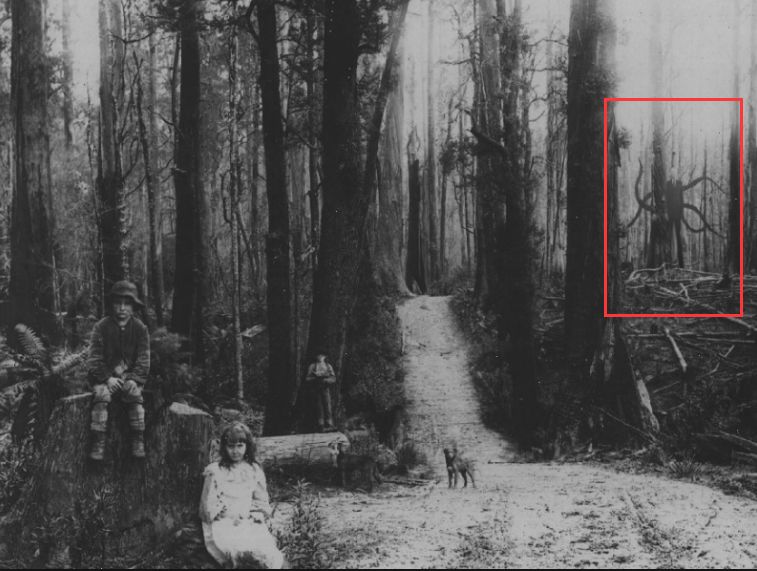 今年顶级恐怖片太太太多